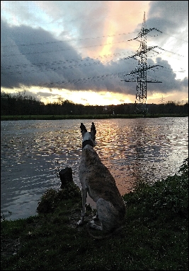 Bildschirmfoto20180525um090145Kopie1