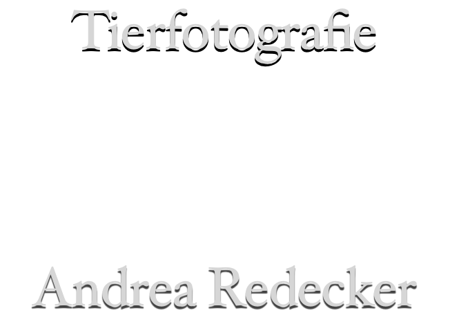 Tierfotografie